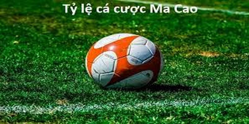 Tỷ lệ kèo ma cao Tỷ lệ kèo ma cao cách đọc chuẩn