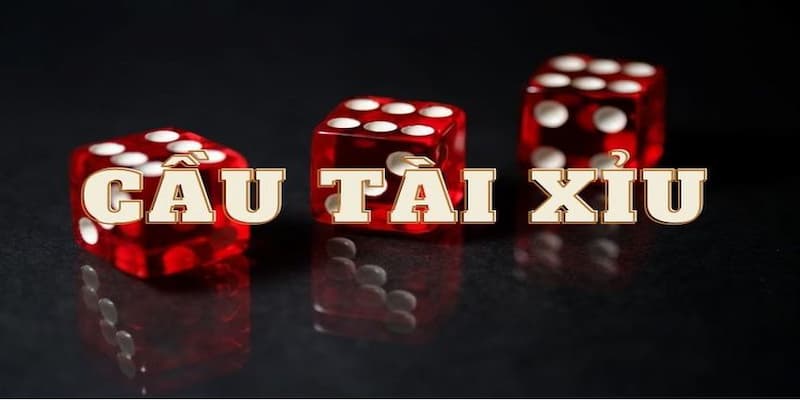 Bắt cầu tài xỉu về tổng quan