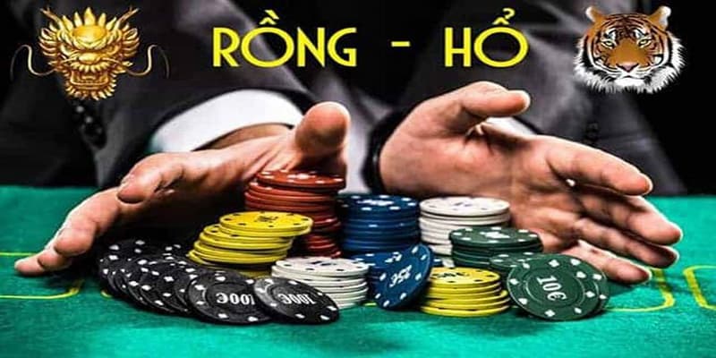Rồng hổ Rồng hổ với các ưu điểm nổi bật